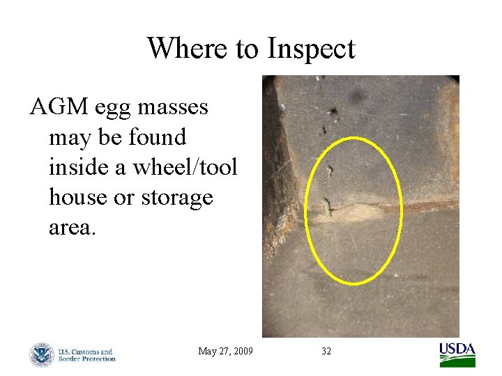 Where to Inspect AGM egg masses may be found inside a wheel/tool house or