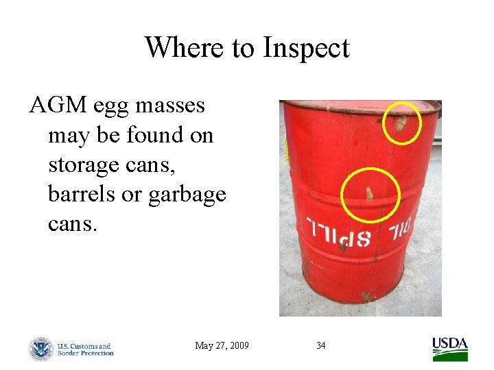 Where to Inspect AGM egg masses may be found on storage cans, barrels or