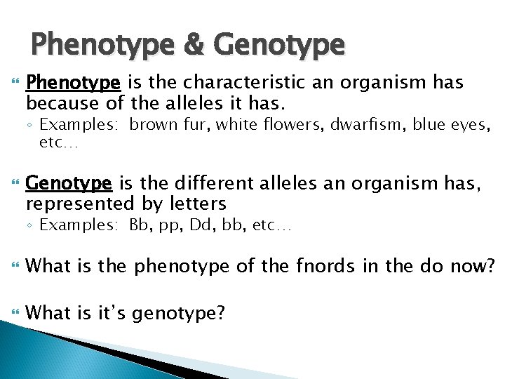 Phenotype & Genotype Phenotype is the characteristic an organism has because of the alleles