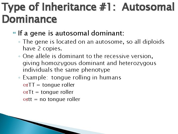 Type of Inheritance #1: Autosomal Dominance If a gene is autosomal dominant: ◦ The
