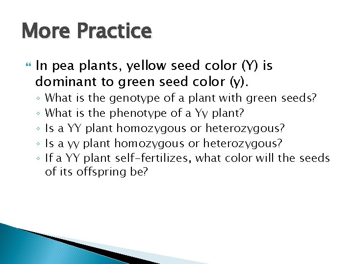 More Practice In pea plants, yellow seed color (Y) is dominant to green seed