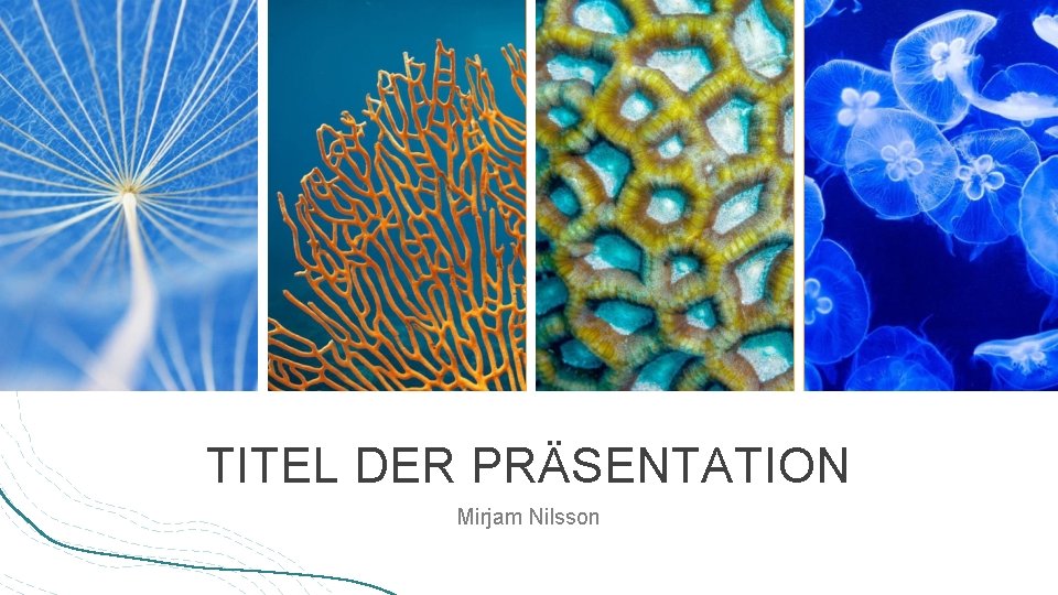 TITEL DER PRÄSENTATION Mirjam Nilsson 