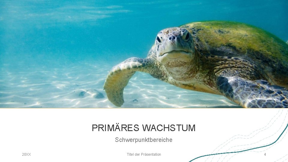 PRIMÄRES WACHSTUM Schwerpunktbereiche 20 XX Titel der Präsentation 4 