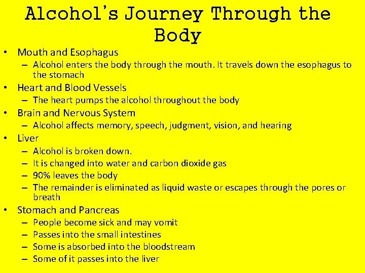 Alcohol’s Journey Through the Body • Mouth and Esophagus – Alcohol enters the body