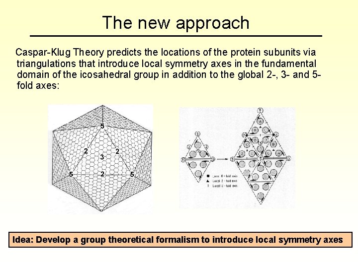 The new approach Caspar-Klug Theory predicts the locations of the protein subunits via triangulations