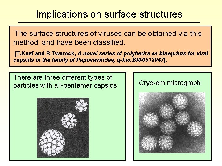 Implications on surface structures The surface structures of viruses can be obtained via this
