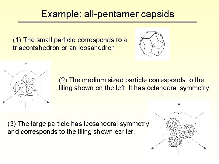 Example: all-pentamer capsids (1) The small particle corresponds to a triacontahedron or an icosahedron