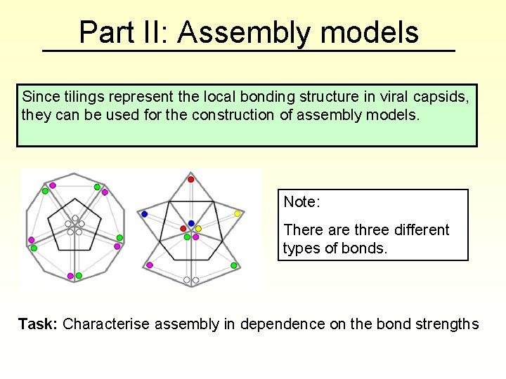 Part II: Assembly models Since tilings represent the local bonding structure in viral capsids,