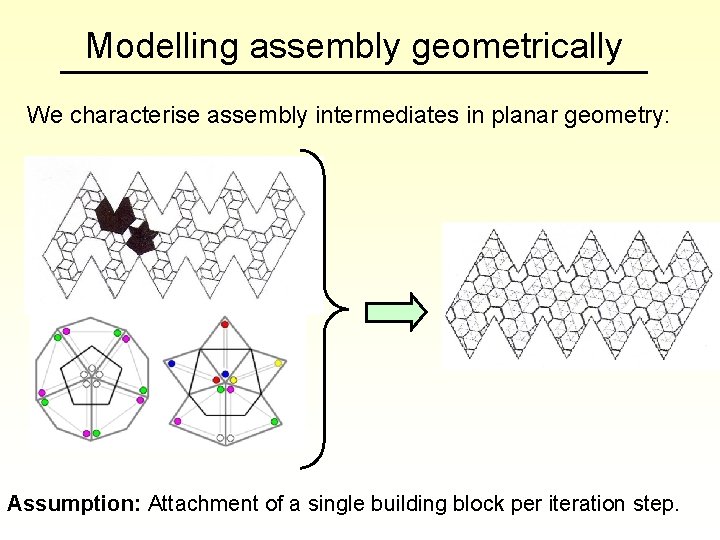 Modelling assembly geometrically We characterise assembly intermediates in planar geometry: Assumption: Attachment of a