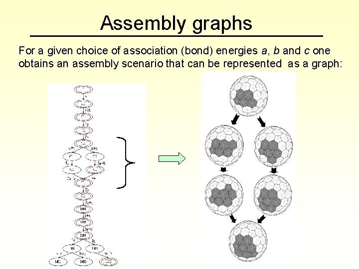 Assembly graphs For a given choice of association (bond) energies a, b and c