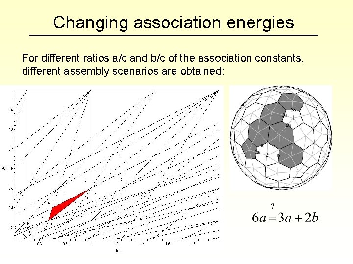 Changing association energies For different ratios a/c and b/c of the association constants, different