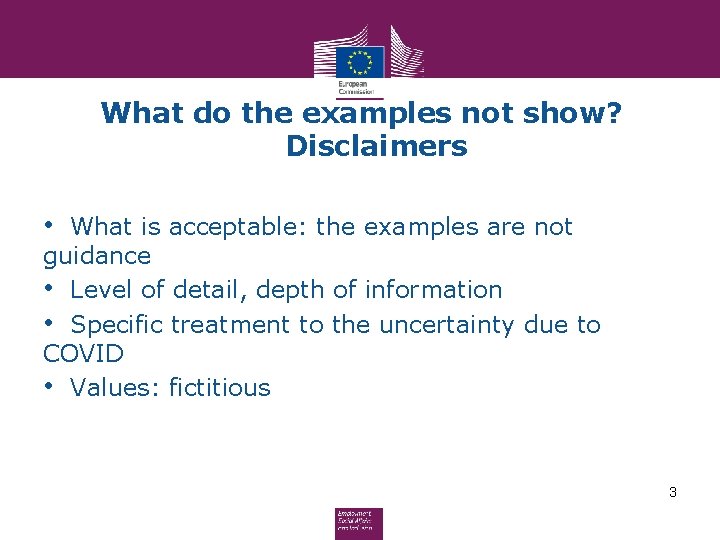 What do the examples not show? Disclaimers • What is acceptable: the examples are What do the examples not show? Disclaimers • What is acceptable: the examples are