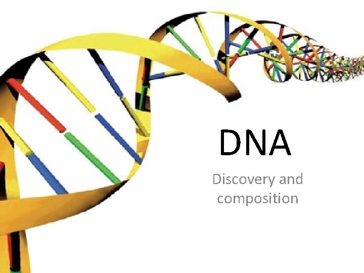 DNA Discovery and composition 