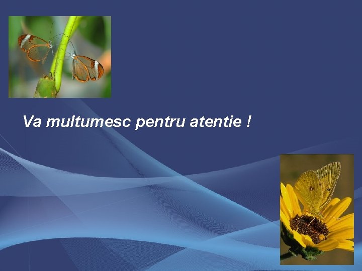 Va multumesc pentru atentie ! 