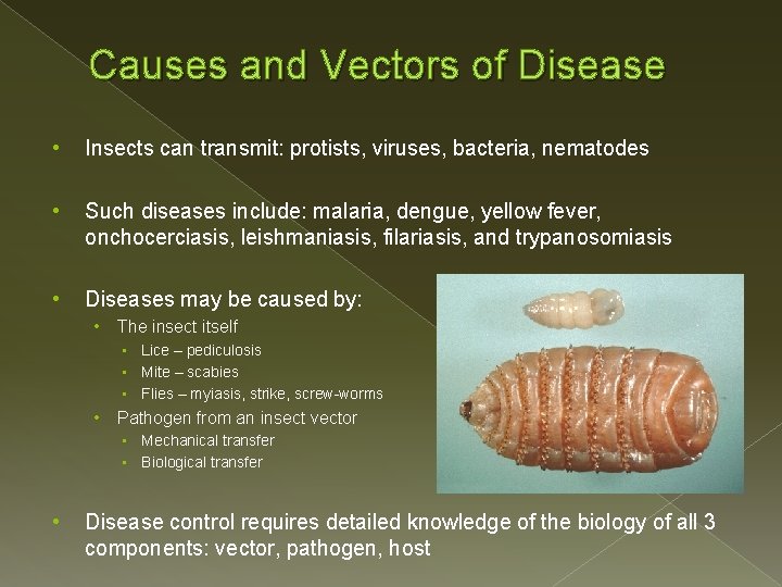 Causes and Vectors of Disease • Insects can transmit: protists, viruses, bacteria, nematodes •