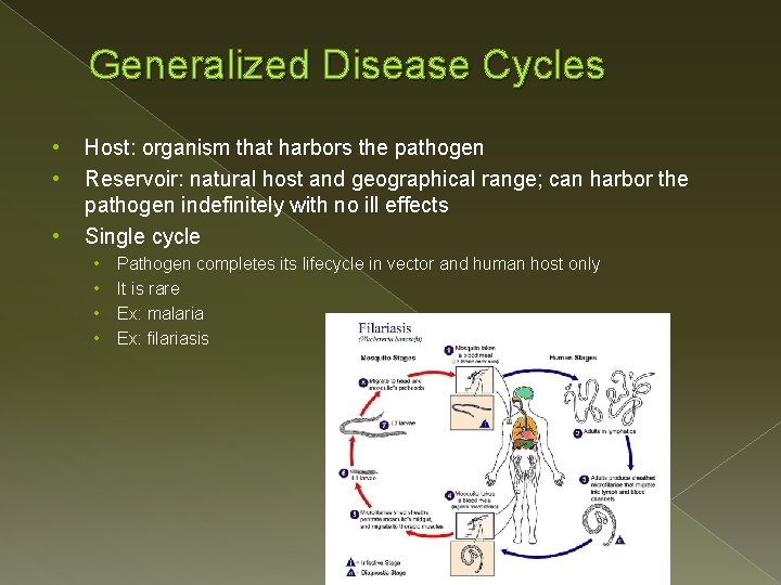 Generalized Disease Cycles • • • Host: organism that harbors the pathogen Reservoir: natural