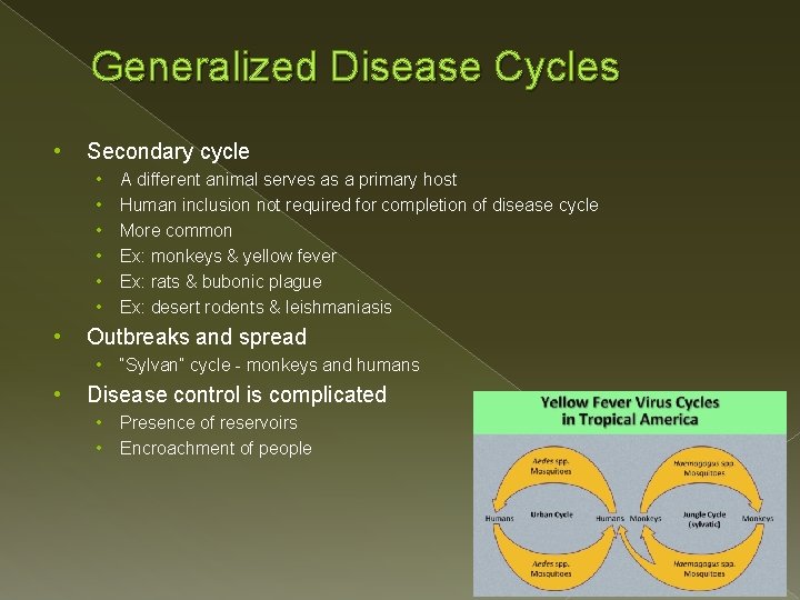 Generalized Disease Cycles • Secondary cycle • • Outbreaks and spread • • A