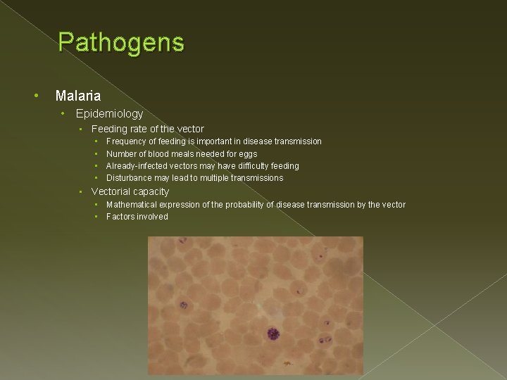Pathogens • Malaria • Epidemiology • Feeding rate of the vector • • Frequency