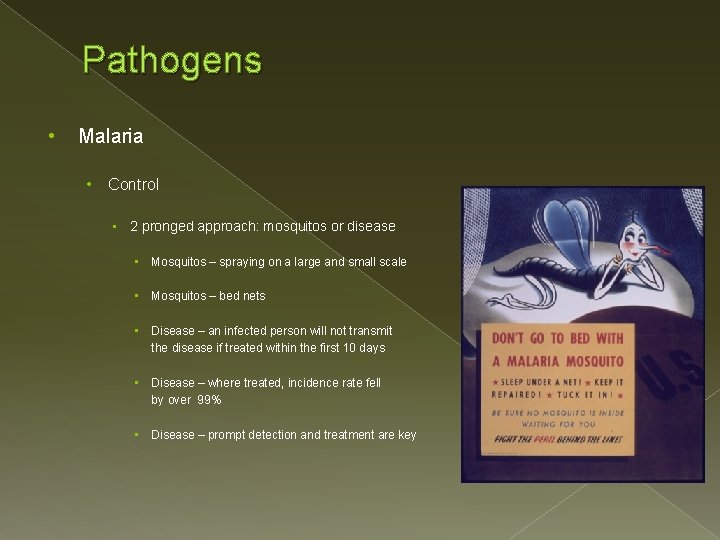 Pathogens • Malaria • Control • 2 pronged approach: mosquitos or disease • Mosquitos