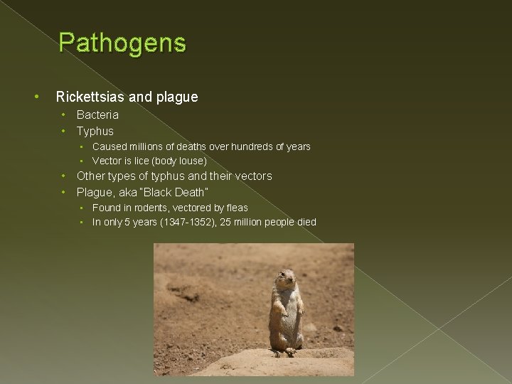 Pathogens • Rickettsias and plague • • Bacteria Typhus • Caused millions of deaths