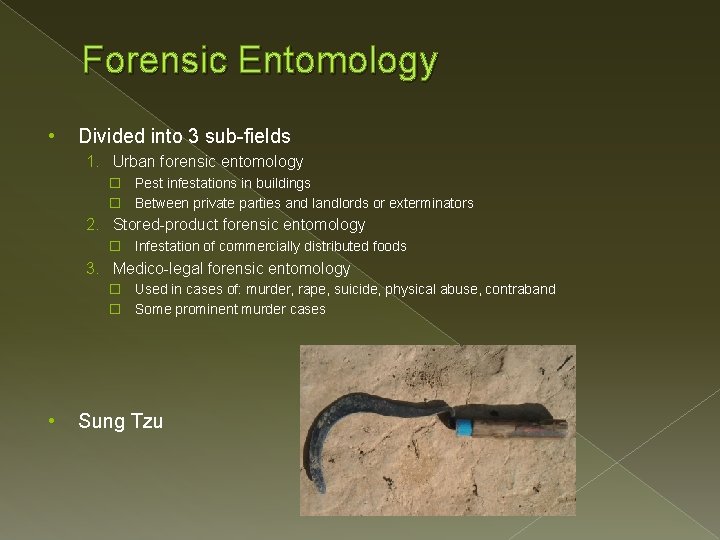 Forensic Entomology • Divided into 3 sub-fields 1. Urban forensic entomology � Pest infestations