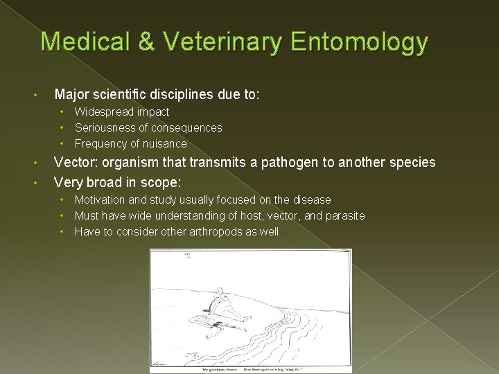 Medical & Veterinary Entomology • Major scientific disciplines due to: • • • Widespread