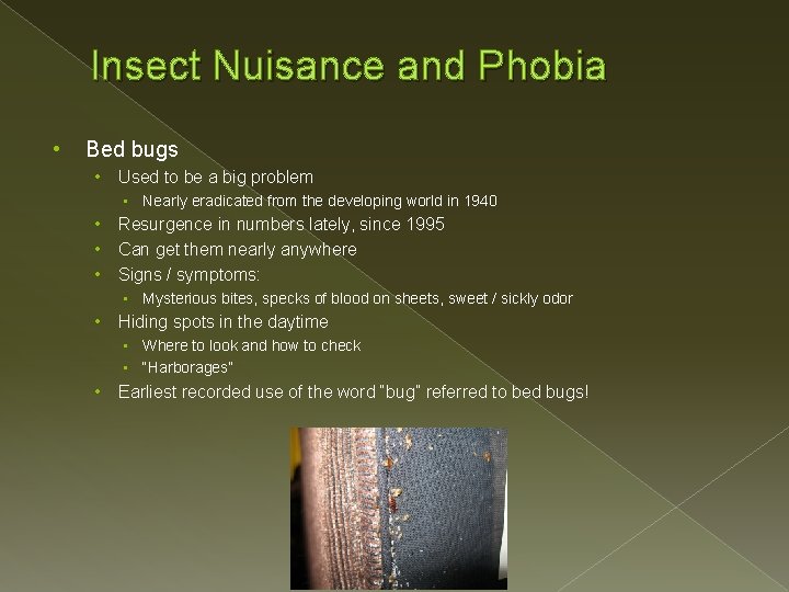 Insect Nuisance and Phobia • Bed bugs • Used to be a big problem