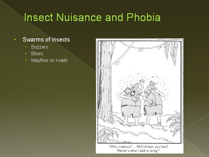 Insect Nuisance and Phobia • Swarms of insects • • • Buzzers Biters Mayflies