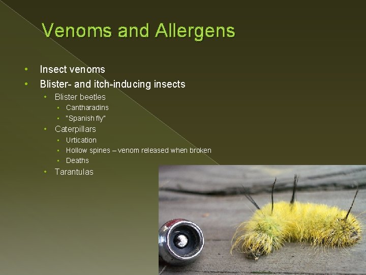 Venoms and Allergens • • Insect venoms Blister- and itch-inducing insects • Blister beetles