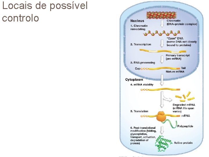 Locais de possível controlo 