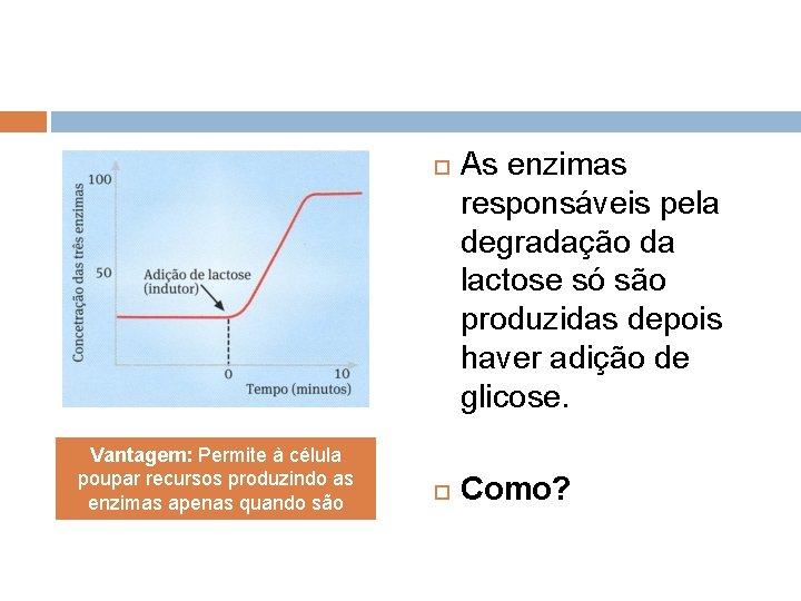  Vantagem: Permite à célula poupar recursos produzindo as enzimas apenas quando são necessárias