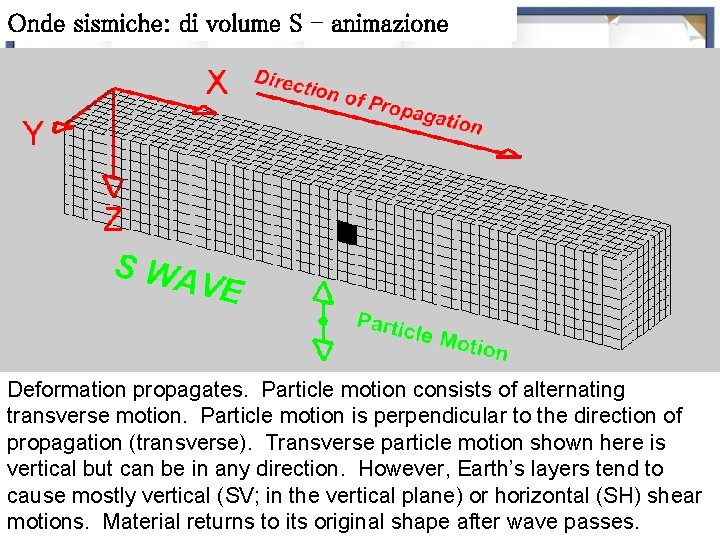 Onde sismiche: di volume S - animazione Deformation propagates. Particle motion consists of alternating