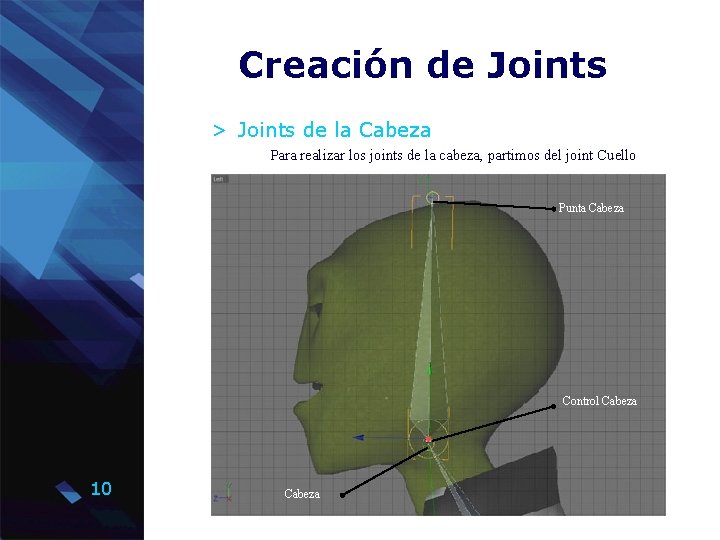 Creación de Joints > Joints de la Cabeza Para realizar los joints de la