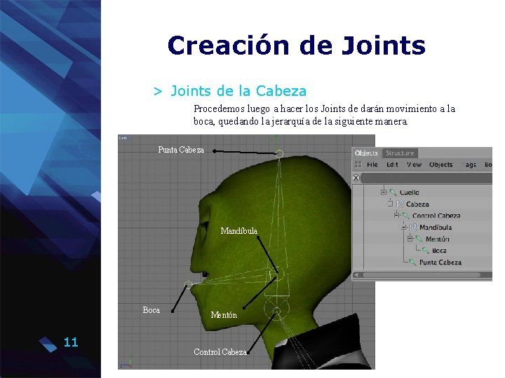 Creación de Joints > Joints de la Cabeza Procedemos luego a hacer los Joints