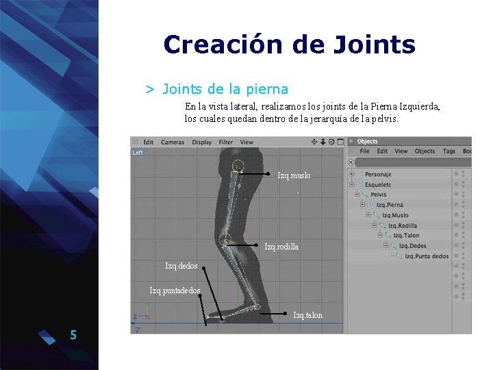 Creación de Joints > Joints de la pierna En la vista lateral, realizamos los