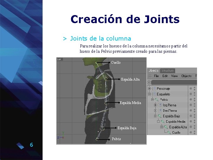 Creación de Joints > Joints de la columna Para realizar los huesos de la