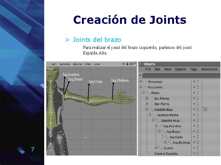 Creación de Joints > Joints del brazo Para realizar el joint del brazo izquierdo,