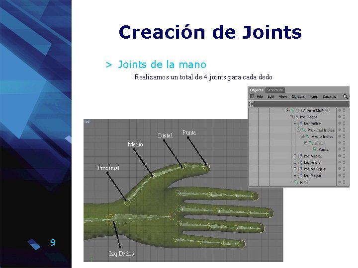 Creación de Joints > Joints de la mano Realizamos un total de 4 joints