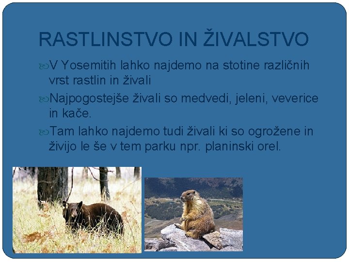 RASTLINSTVO IN ŽIVALSTVO V Yosemitih lahko najdemo na stotine različnih vrst rastlin in živali