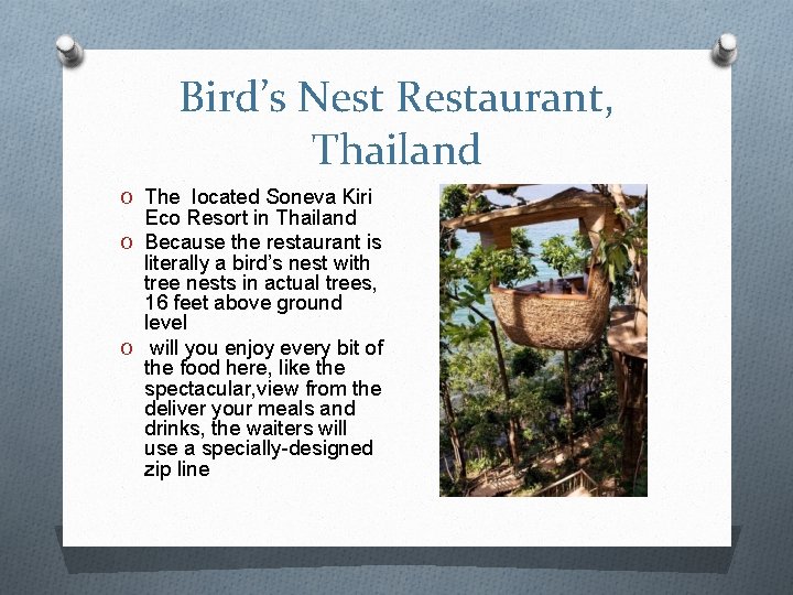 Bird’s Nest Restaurant, Thailand O The located Soneva Kiri Eco Resort in Thailand O