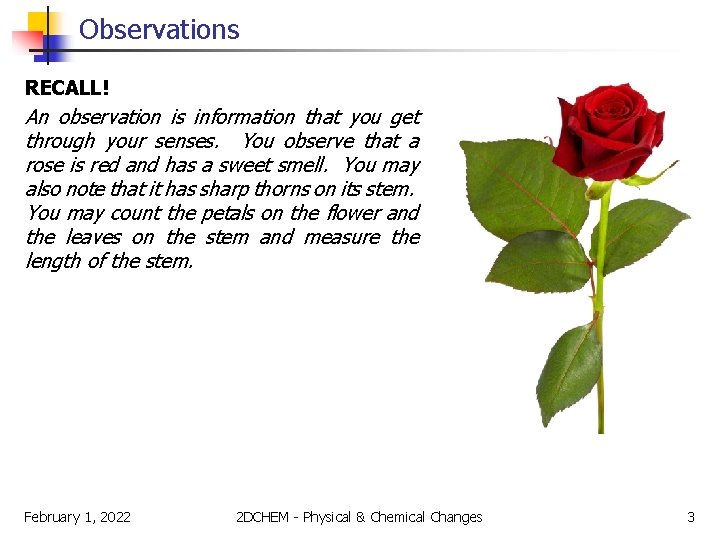 Observations RECALL! An observation is information that you get through your senses. You observe