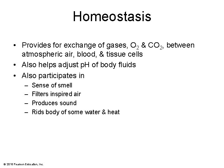 Homeostasis • Provides for exchange of gases, O 2 & CO 2, between atmospheric