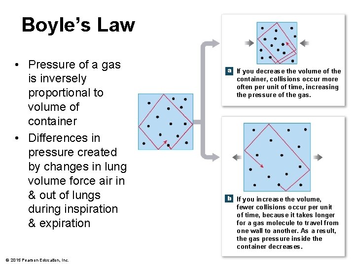Boyle’s Law • Pressure of a gas is inversely proportional to volume of container