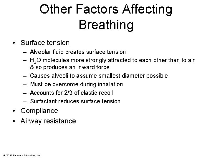 Other Factors Affecting Breathing • Surface tension – Alveolar fluid creates surface tension –