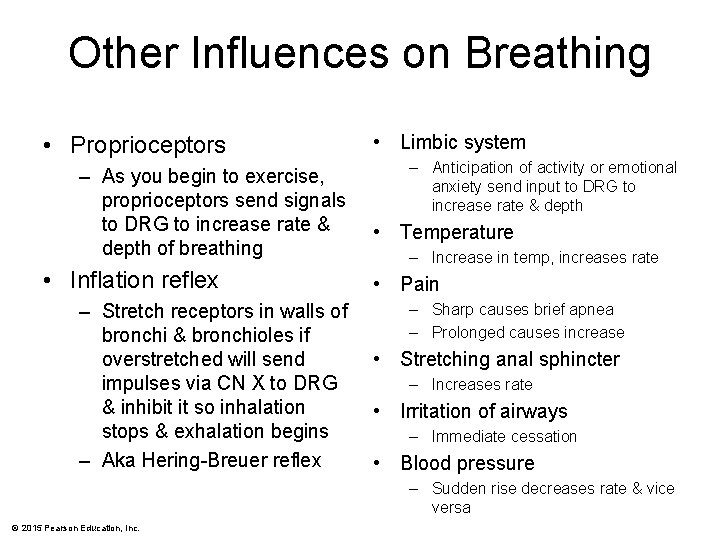 Other Influences on Breathing • Proprioceptors – As you begin to exercise, proprioceptors send