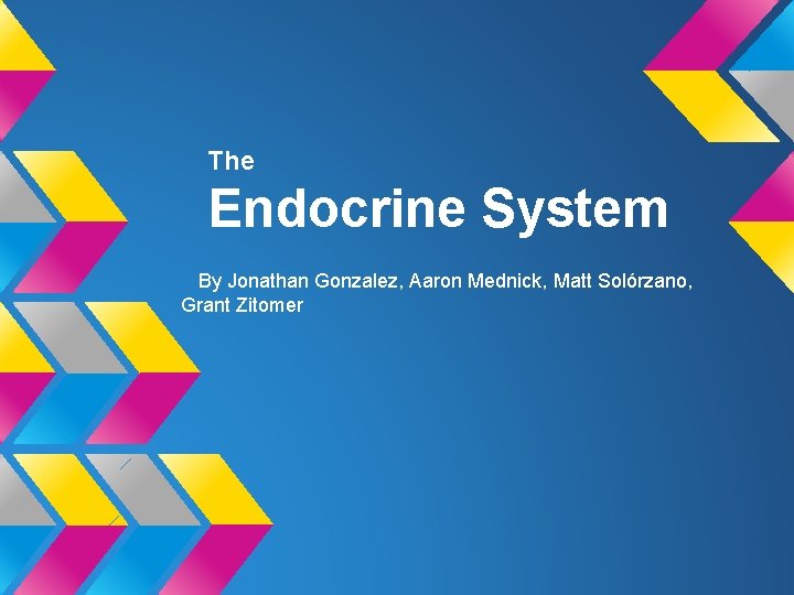 The Endocrine System By Jonathan Gonzalez, Aaron Mednick, Matt Solórzano, Grant Zitomer 