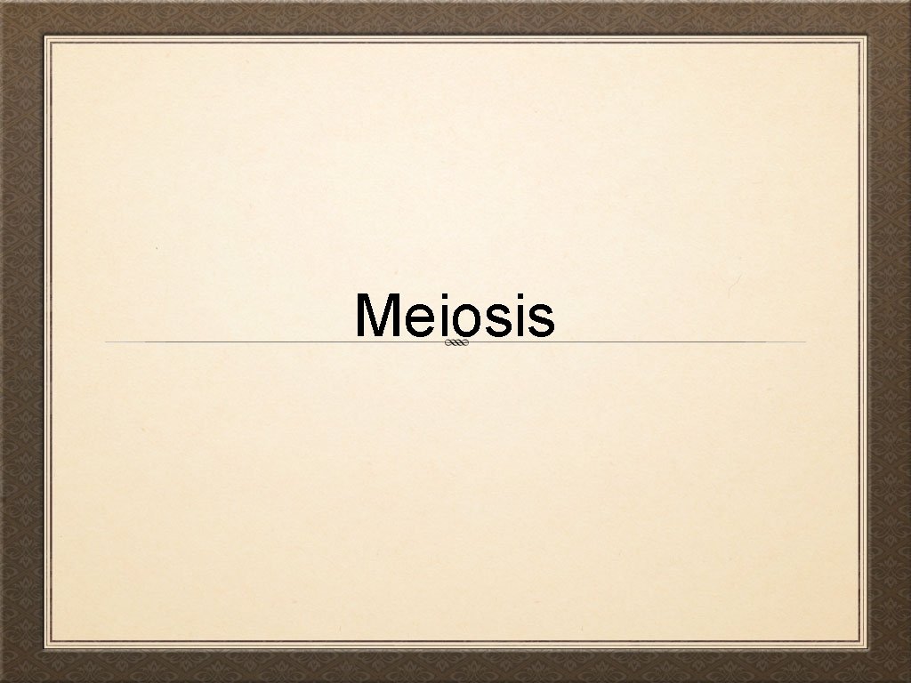 Meiosis 