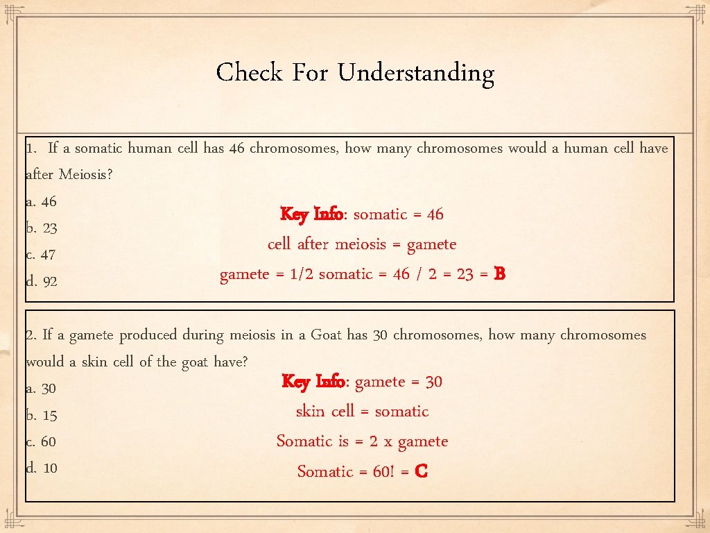 Check For Understanding 1. If a somatic human cell has 46 chromosomes, how many