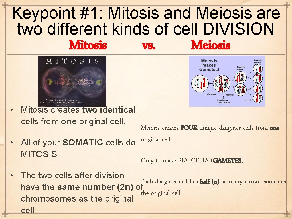 Keypoint #1: Mitosis and Meiosis are two different kinds of cell DIVISION Mitosis vs.