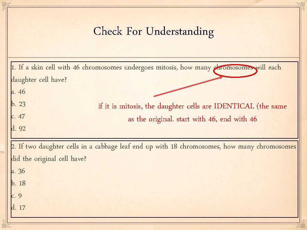 Check For Understanding 1. If a skin cell with 46 chromosomes undergoes mitosis, how